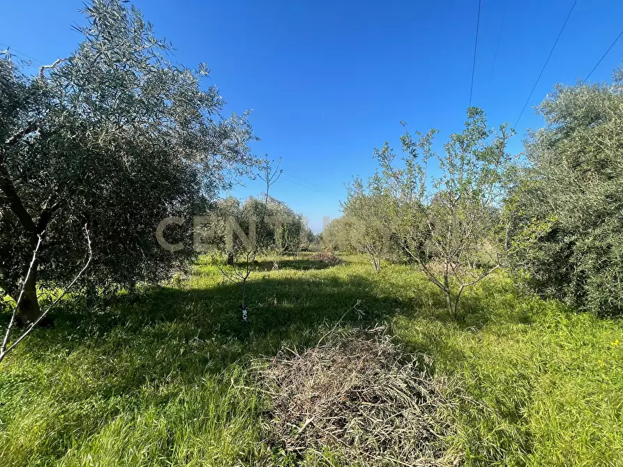 Immagine 27 di Terreno agricolo in vendita  in contrada agnelleria a Belpasso