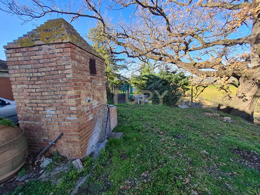 Immagine 8 di Porzione di casa in vendita  a Civitella Paganico