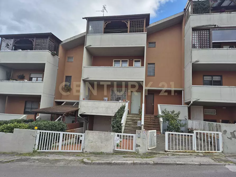 Immagine 33 di Terratetto in vendita  in via fratelli matteini 9 a Grosseto