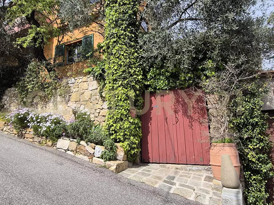 Immagine 19 di Quadrilocale in vendita  in via dei mille 38 a Magliano In Toscana