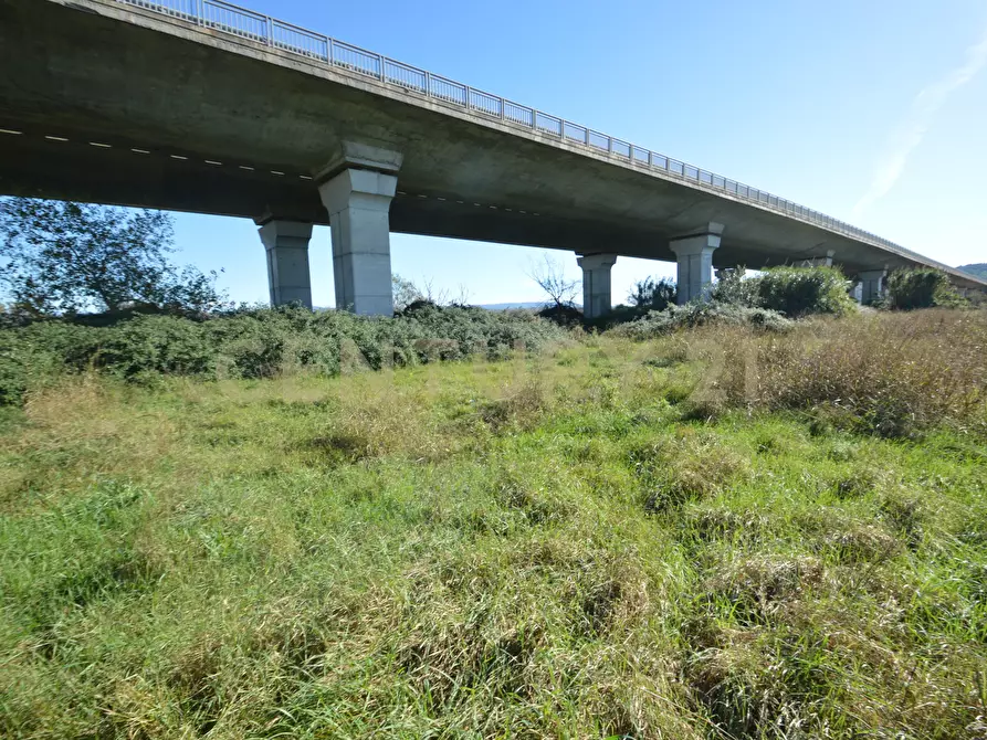 Immagine 5 di Rustico / casale in vendita  in Strada dell'Isolotto a Grosseto
