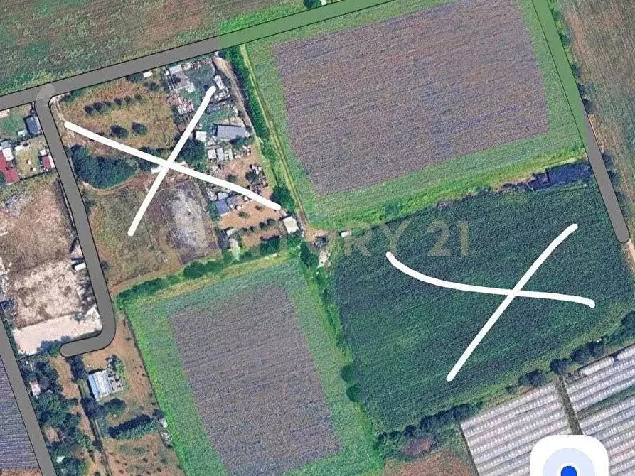 Immagine 1 di Terreno agricolo in affitto  a Verona