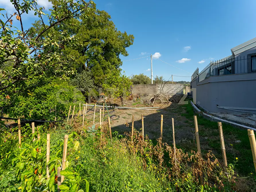 Immagine 12 di Villa in vendita  in Via di Bartolo a San Gregorio Di Catania