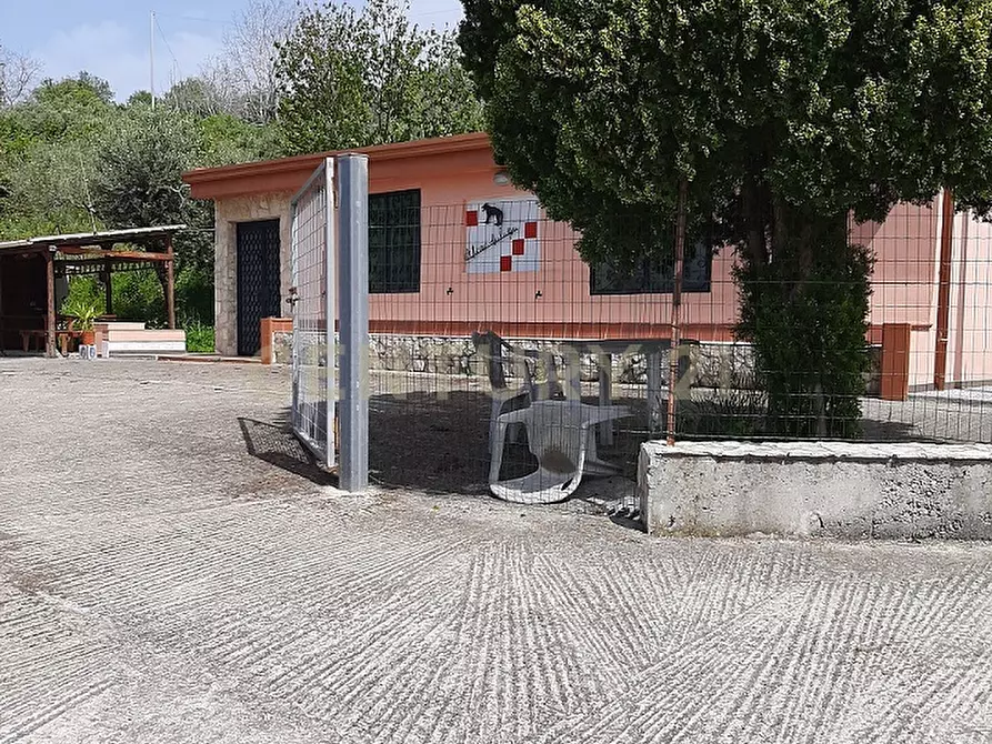 Immagine 18 di Casa indipendente in vendita  in zifronte SNC a San Pier Niceto