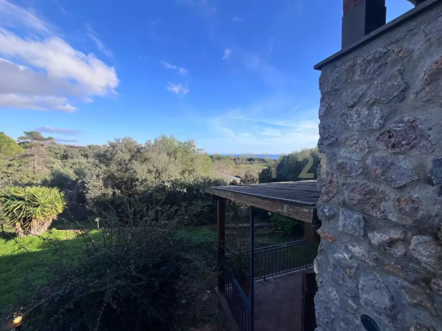Immagine 3 di Villa in vendita  in Via delle Ginestre 80 a Orbetello