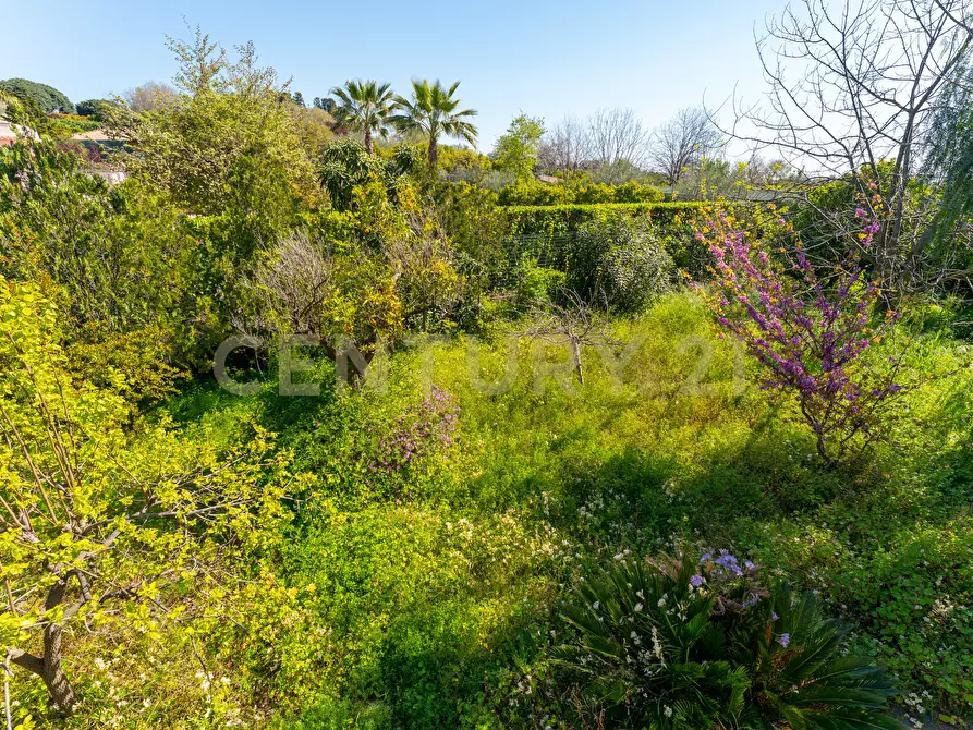 Immagine 40 di Villa in vendita  in Via Alcaloro Petrone 47 a Viagrande