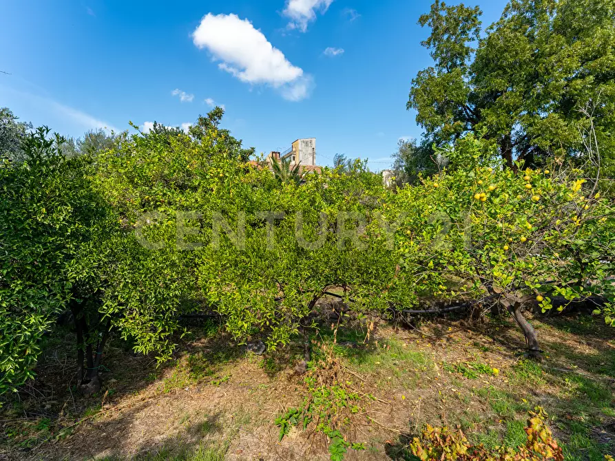 Immagine 17 di Villa in vendita  in Via di Bartolo a San Gregorio Di Catania