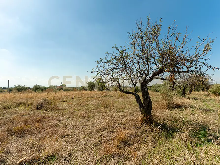 casa indipendente in vendita a Motta Sant'Anastasia