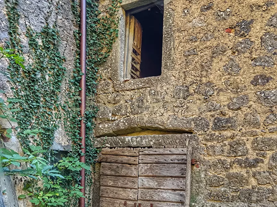 Immagine 26 di Rustico / casale in vendita  in Via dell'Eremo 1 a Castiglione D'orcia
