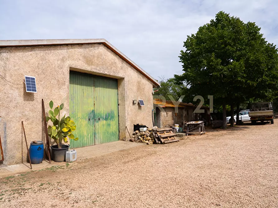 Immagine 48 di Rustico / casale in vendita  in LOCALITA PINZUTI a Manciano