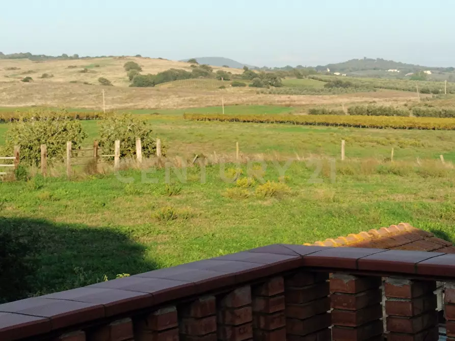 Immagine 8 di Casa bifamiliare in vendita  in Strada Cava del Gesso 2 a Capalbio