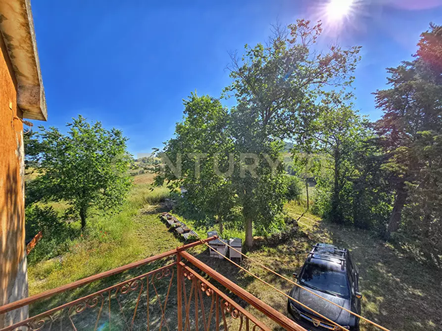 Immagine 4 di Rustico / casale in vendita  in Strada Provinciale Aquilaia a Scansano