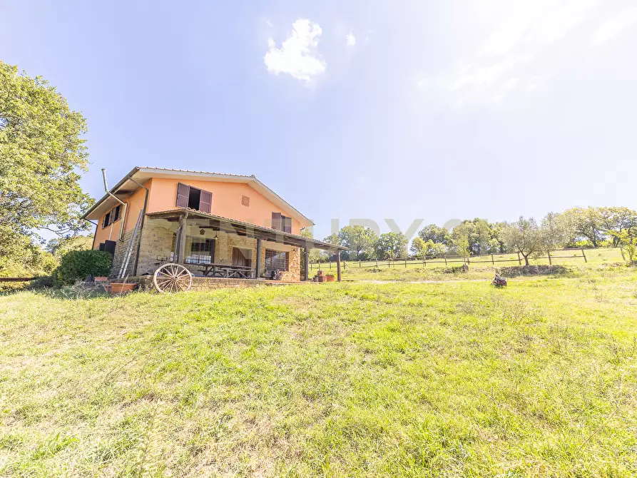 Immagine 17 di Rustico / casale in vendita  in località san quirichello a Barbarano Romano
