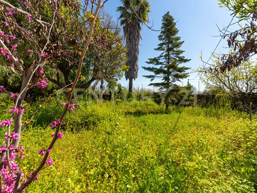 Immagine 86 di Villa in vendita  in Via Alcaloro Petrone 47 a Viagrande