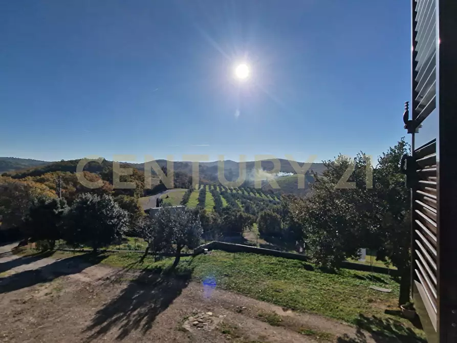 Immagine 48 di Rustico / casale in vendita  in Loc. Poderi di Montemerano a Manciano