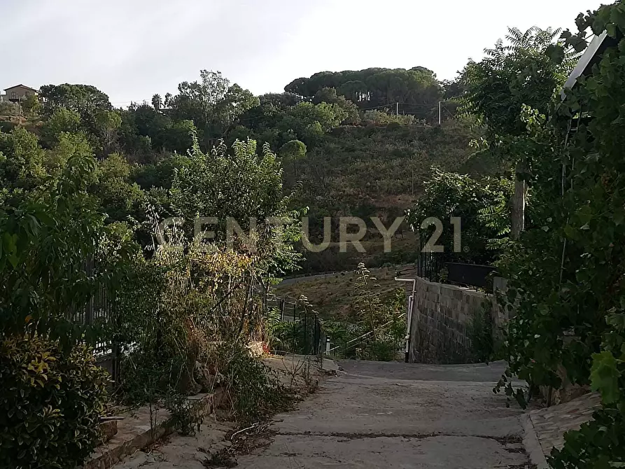 Immagine 6 di Terreno agricolo in vendita  in Contrada Piano Cannata Balatazza a Piazza Armerina