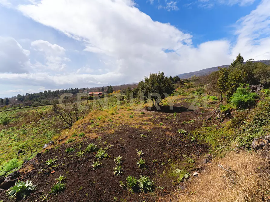 Immagine 66 di Villa in vendita  in Via Nocille 55 a Mascali