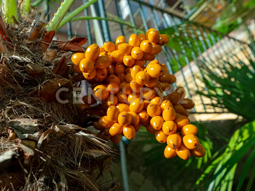 Immagine 3 di Villa in vendita  in Contrada Arcile 1 a Augusta