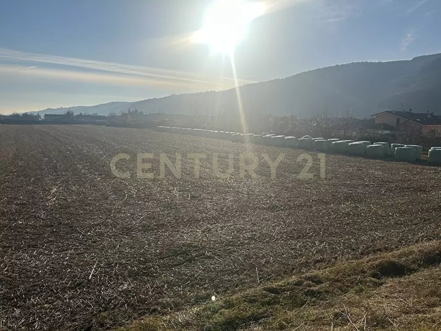 Immagine 1 di Terreno edificabile in vendita  in Via Don Giovanni Calabria 2 a Tregnago