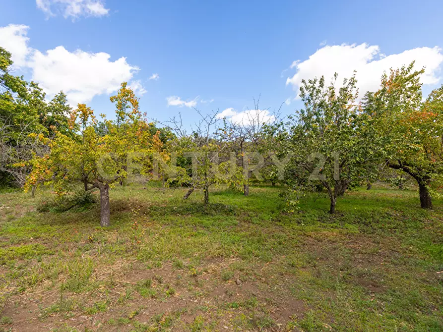 Immagine 20 di Villa in vendita  in Contrada Scolaro Cisterna a Adrano