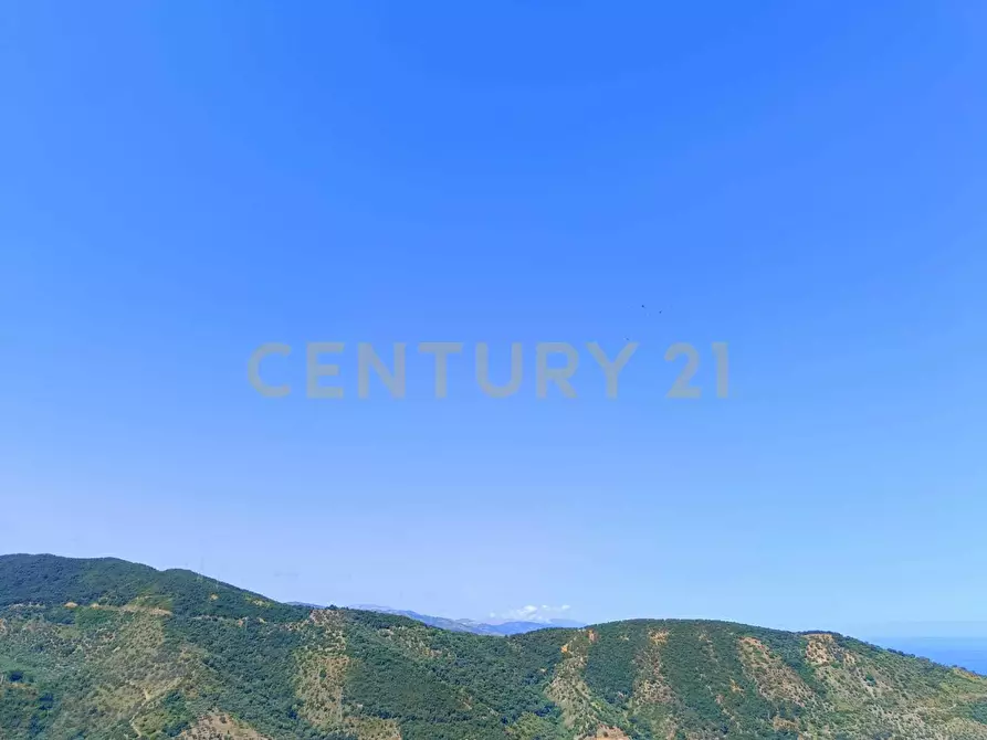 Immagine 10 di Trilocale in vendita  in Via Umberto 182 a Caronia