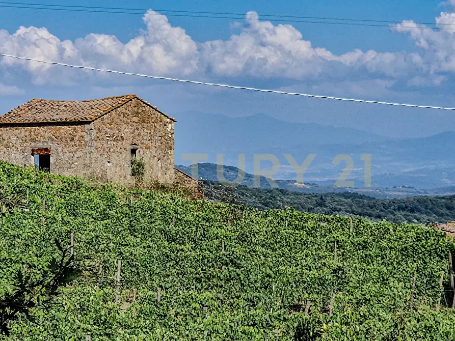 Immagine 9 di Rustico / casale in vendita  in località cinigliano 271 a Roccastrada