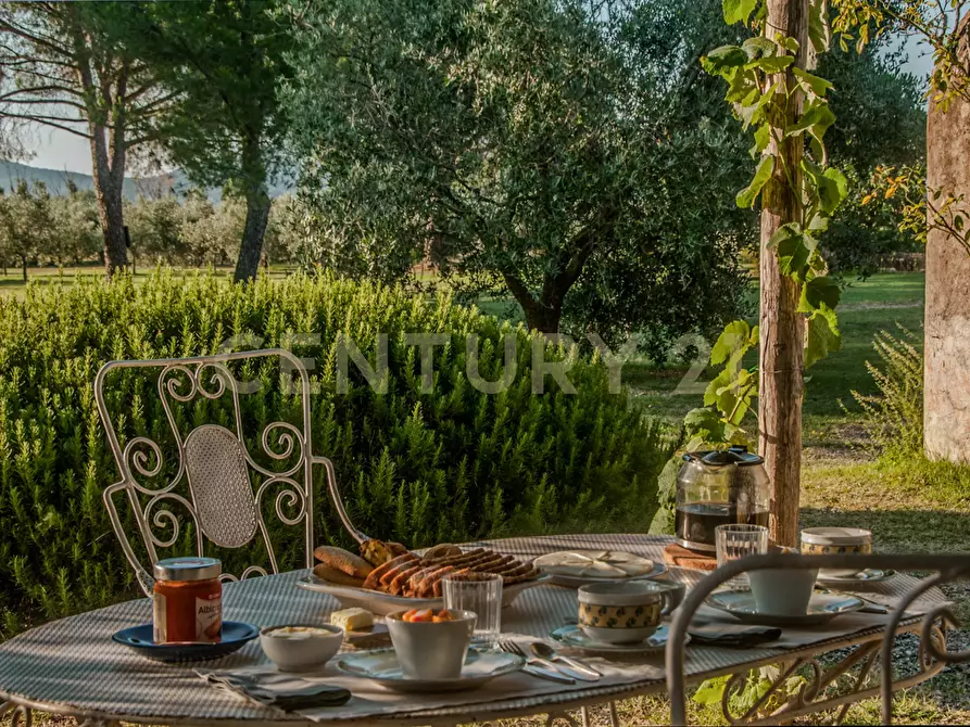 Immagine 16 di Rustico / casale in vendita  in località podere dogana a Roccastrada