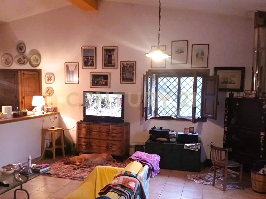 Immagine 19 di Terreno agricolo in vendita  in Contrada Masseria Grande SNC a Centuripe