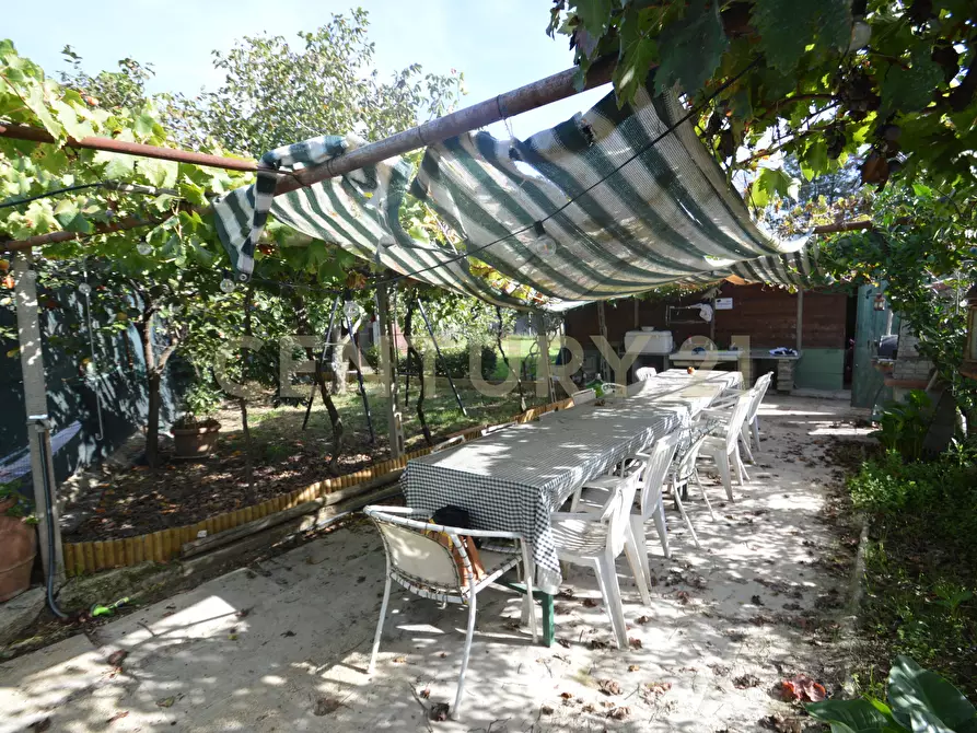 Immagine 17 di Terreno agricolo in vendita  in Via Alberto Sordi 12 a Grosseto