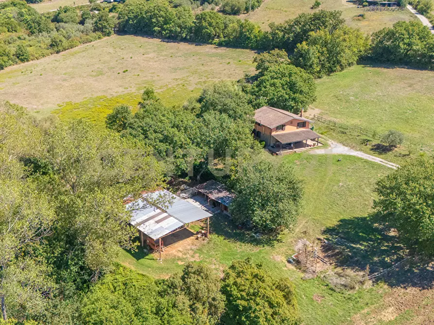 Immagine 26 di Rustico / casale in vendita  in località san quirichello a Barbarano Romano