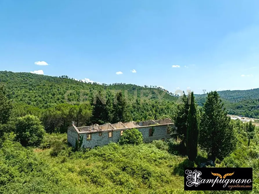 Immagine 44 di Rustico / casale in vendita  in agriturismo lampugnano 47 a Civitella Paganico