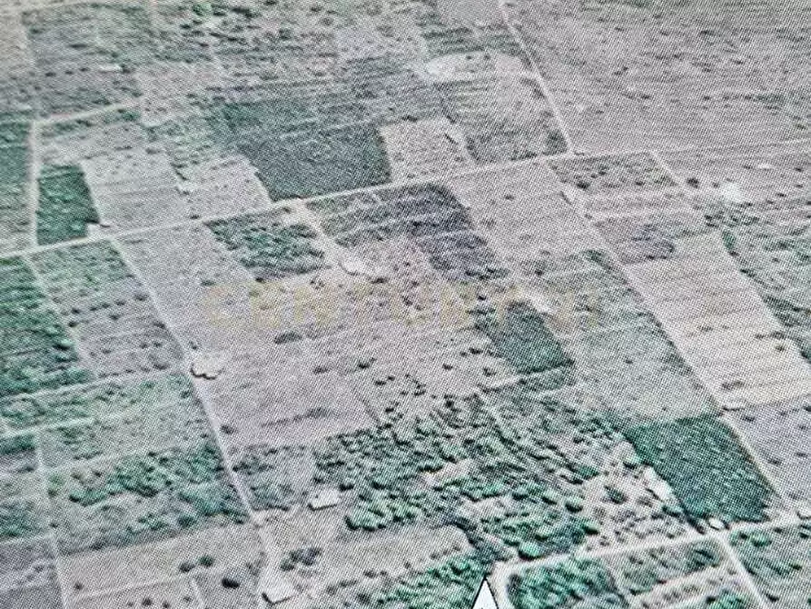 Immagine 8 di Casa indipendente in vendita  in Vicolo del Tufo 12 a Pantelleria