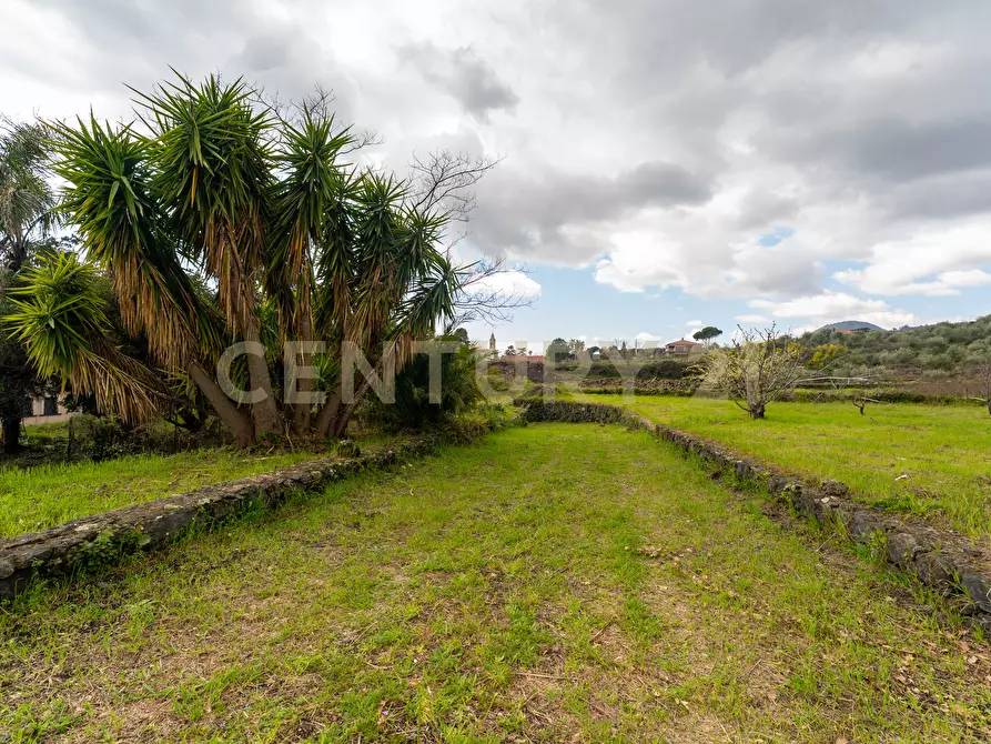 Immagine 30 di Casa indipendente in vendita  in Via Armando Diaz 83 a Zafferana Etnea