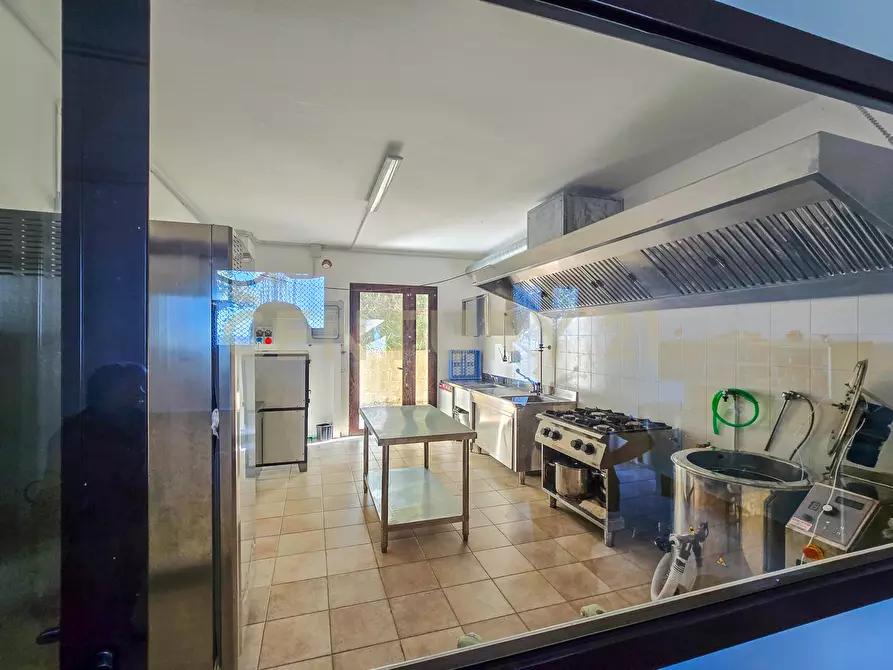 Immagine 29 di Villa in vendita  in località le coste a Roccastrada