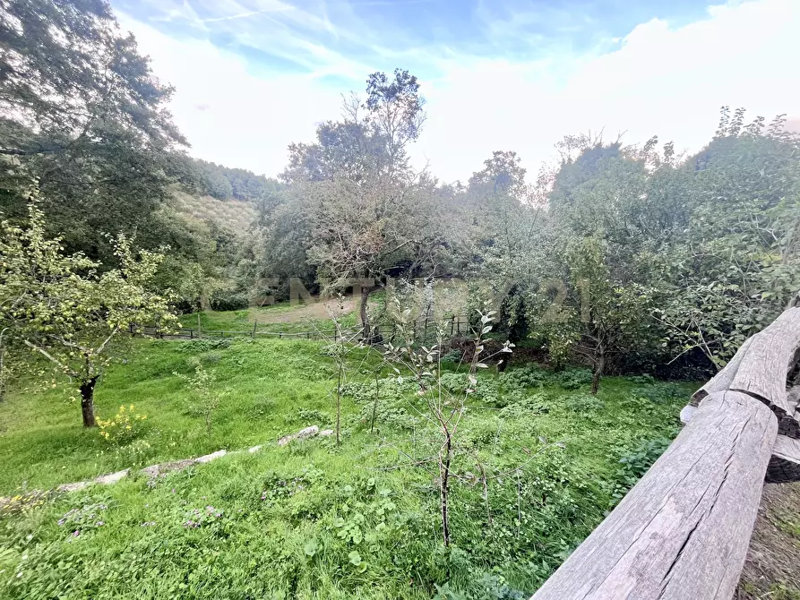 Immagine 50 di Villa in vendita  in Piazza Barbana 35 a Scansano