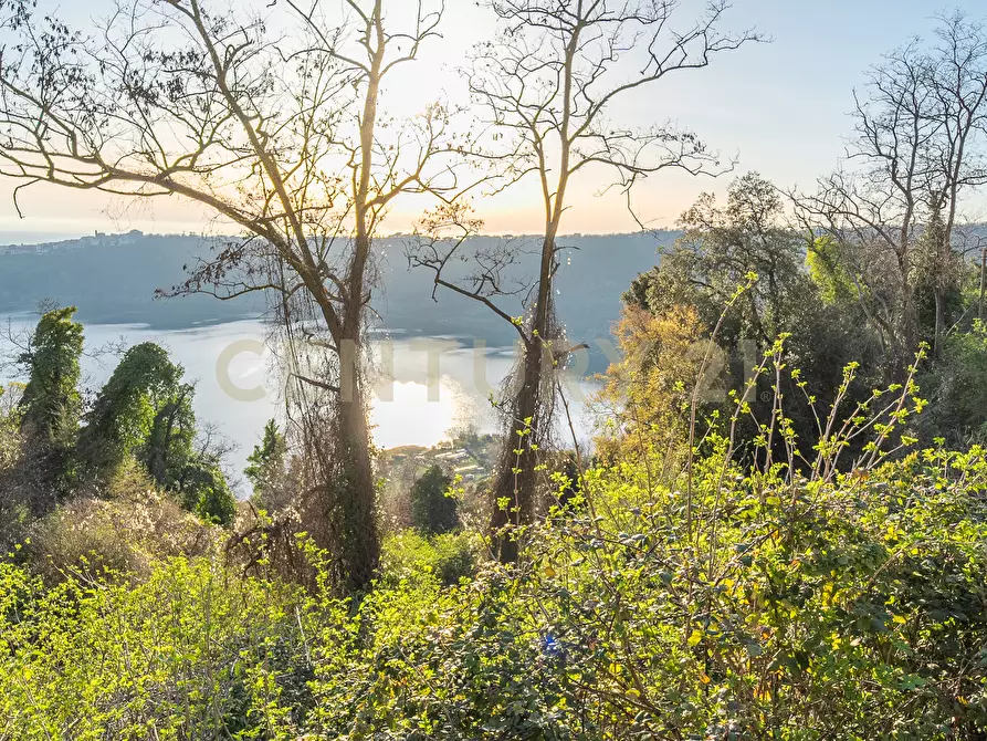 Immagine 36 di Locale commerciale in vendita  in Via Nemorense 17 a Nemi