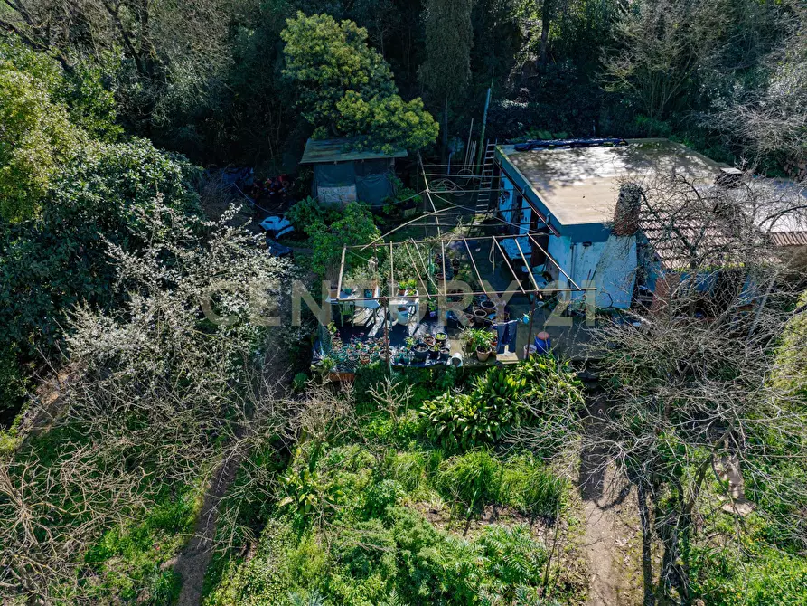 Immagine 18 di Rustico / casale in vendita  in Via del Campone 124 a Monte Argentario