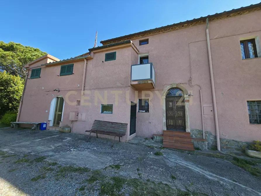Immagine 7 di Rustico / casale in vendita  in località cesi a Gavorrano