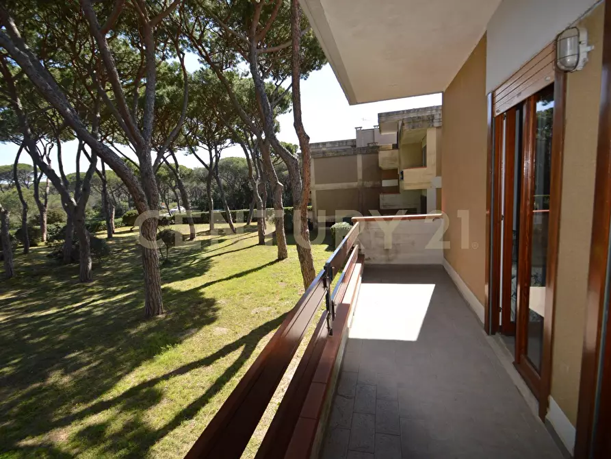 Immagine 25 di Quadrilocale in vendita  a Castiglione Della Pescaia