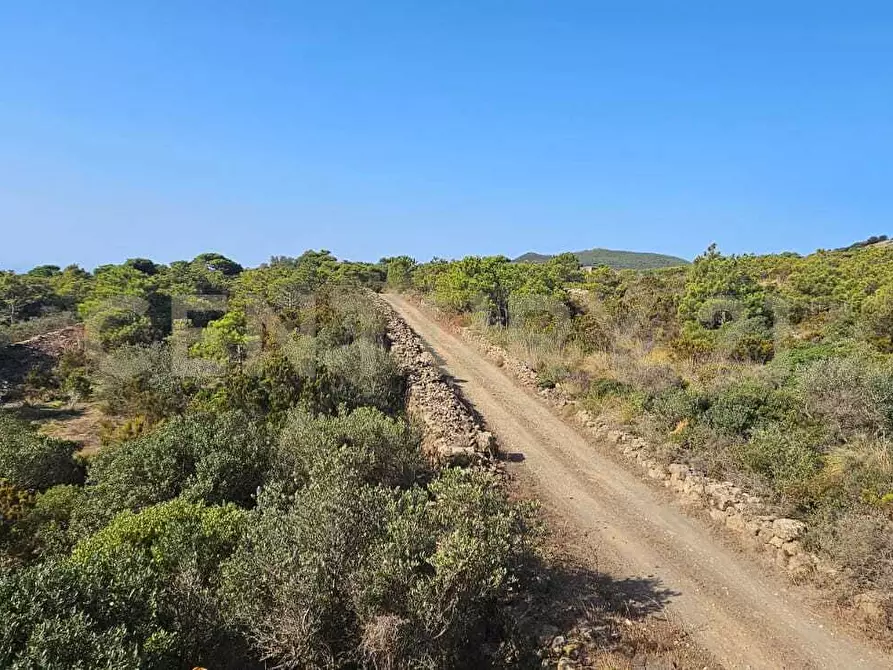 Immagine 19 di Casa indipendente in vendita  in Vicolo del Tufo 12 a Pantelleria