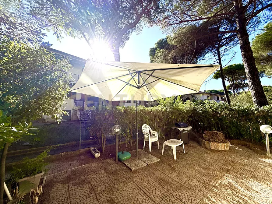 Immagine 5 di Bilocale in vendita  in Via dello Storione 88 a Grosseto