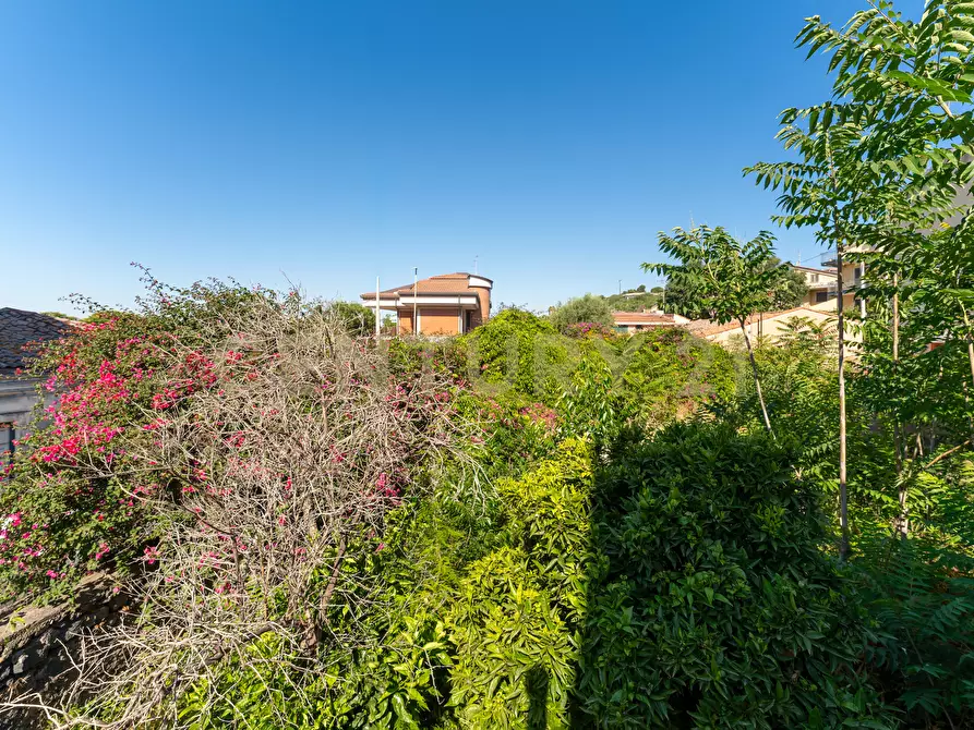 Immagine 40 di Villa in vendita  in Via Galermo 152 a Catania