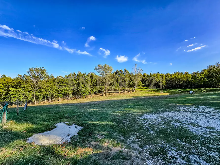 Immagine 20 di Rustico / casale in vendita  in Località Scovaventi 1 a Semproniano