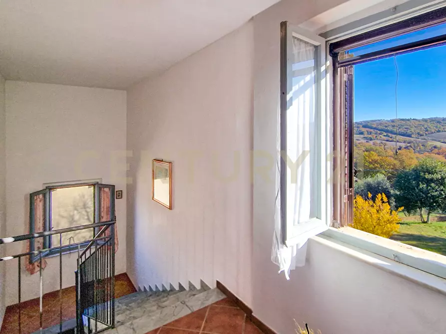 Immagine 47 di Rustico / casale in vendita  in Loc. Poderi di Montemerano a Manciano