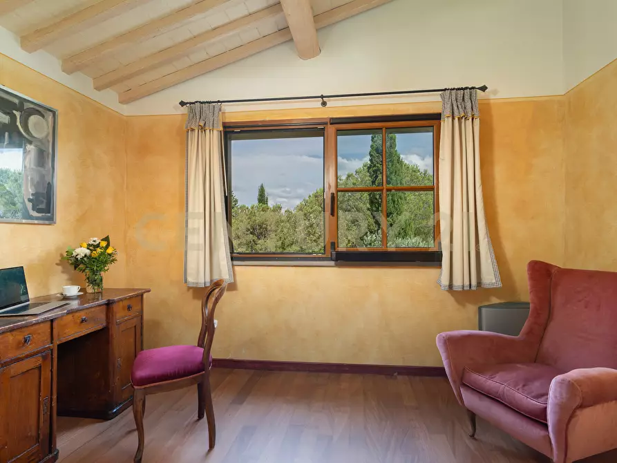 Immagine 22 di Villa in vendita  in Strada di Monte Bottigli a Grosseto