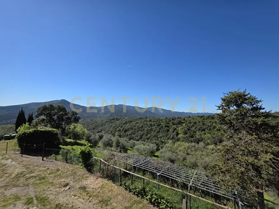 Immagine 5 di Rustico / casale in vendita  in località cesi a Gavorrano