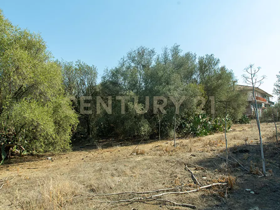 Immagine 11 di Terreno edificabile in vendita  in CONTRA FURERIA snc a Belpasso