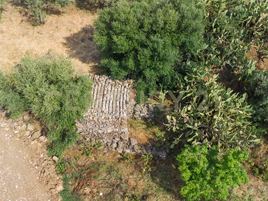 Immagine 11 di Terreno agricolo in vendita  in Via San Leo a Adrano