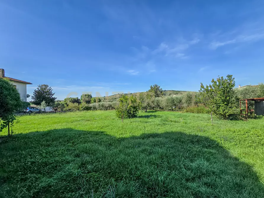 Immagine 17 di Casa bifamiliare in vendita  in Via della Collacchia a Roccastrada