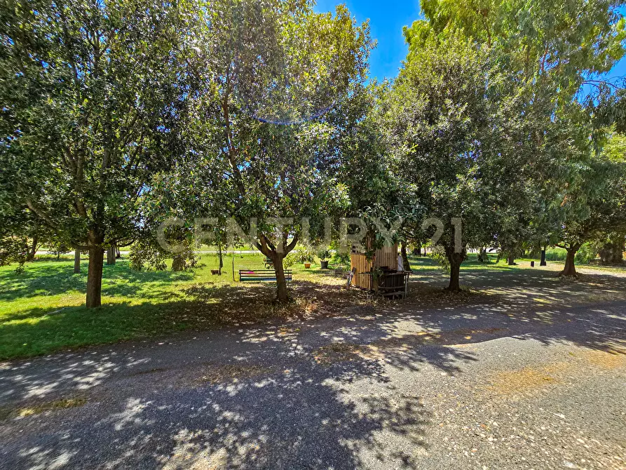 Immagine 18 di Casa semindipendente in vendita  in Via dell'Ingegnere - Loc. Olmini a Roccastrada